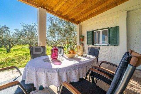 Stari Grad Häuser, Stari Grad Haus kaufen