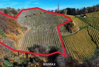 Zone III ungefährer Grenzverlauf