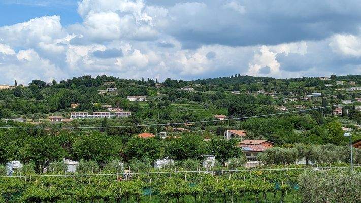 Blick Richtung Weinberge