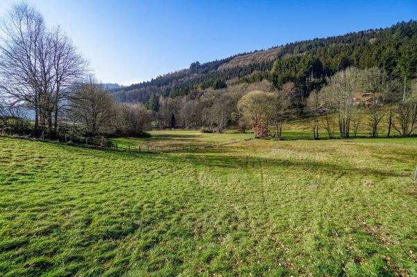 Landwirtschaftliche Flächen