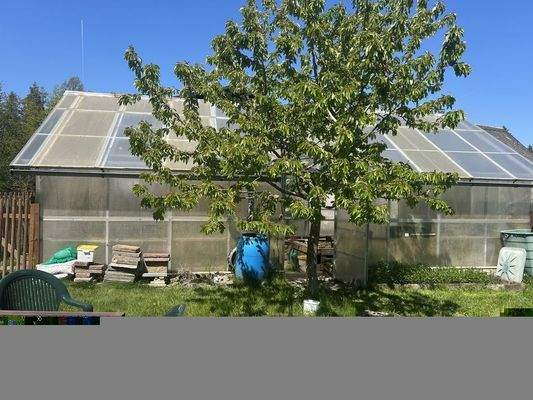 Großes Gewächshaus