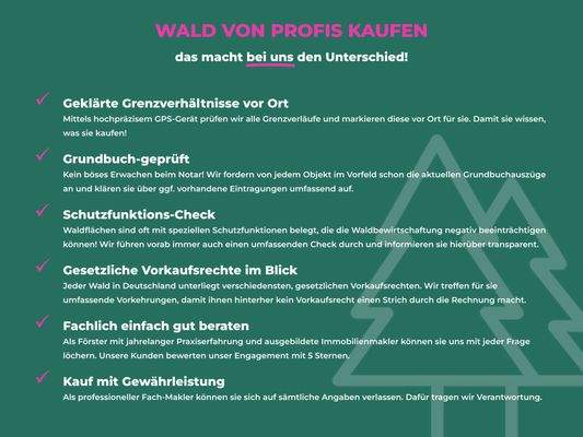 Wald von Profis kaufen.jpg