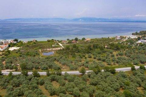 Thassos, Prinos Grundstücke, Thassos, Prinos Grundstück kaufen