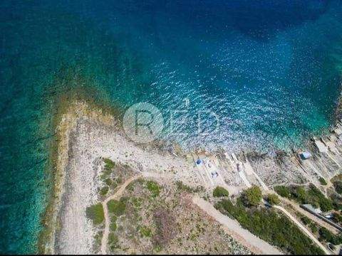 Solta Bauernhöfe, Landwirtschaft, Solta Forstwirtschaft