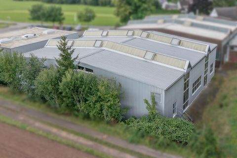 Villingen-Schwenningen Halle, Villingen-Schwenningen Hallenfläche