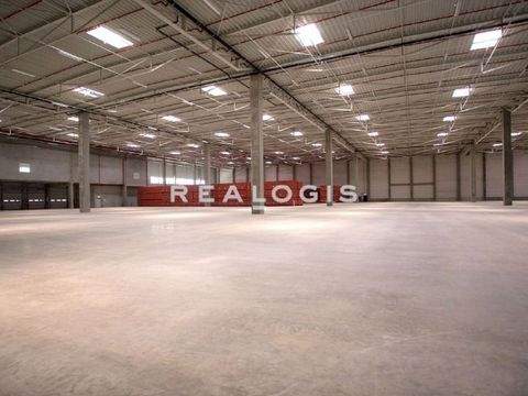 Potsdam Halle, Potsdam Hallenfläche