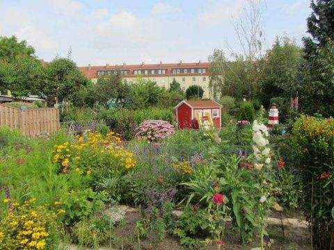Schönebeck (Elbe) Wohnungen, Schönebeck (Elbe) Wohnung mieten