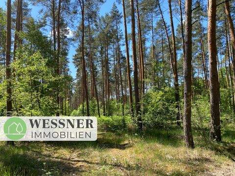 Dallgow-Döberitz Bauernhöfe, Landwirtschaft, Dallgow-Döberitz Forstwirtschaft