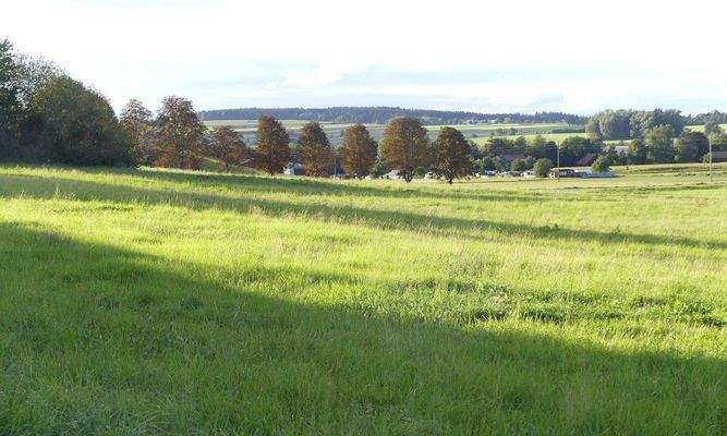 Natur soweit das Auge reicht