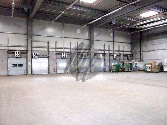 INFOS UNTER: 06171-586000