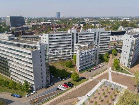 Düsseldorf Büros, Büroräume, Büroflächen 
