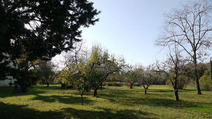 21 garden north-east.JPG