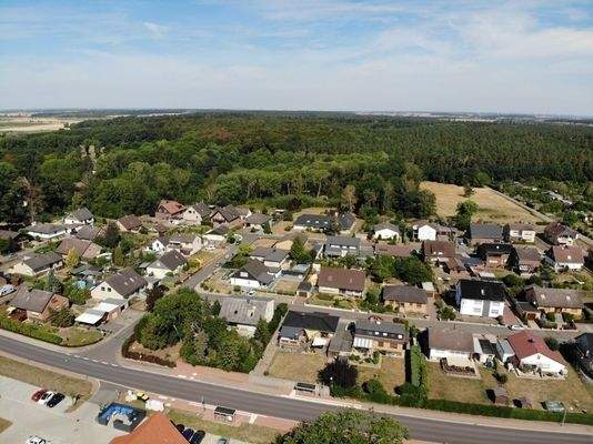 Naturnahe Lage mit Wald in direkter Nähe