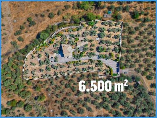 1c3884824f3243f6a9450bb77c51ba43-original