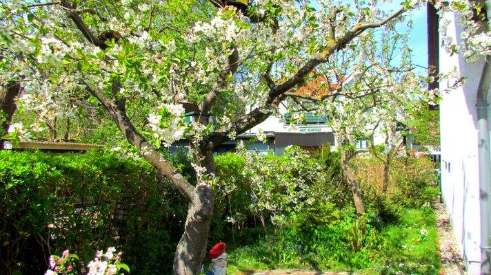 BEPFLANZTES  UND GEPFLEGTES GRUNDSTÜCK