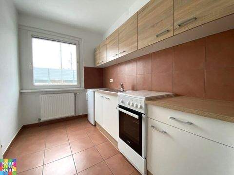 Wien Wohnungen, Wien Wohnung mieten