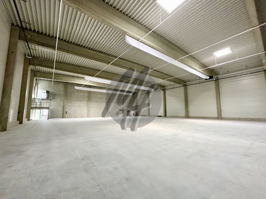 INFOS UNTER: 06171-586000