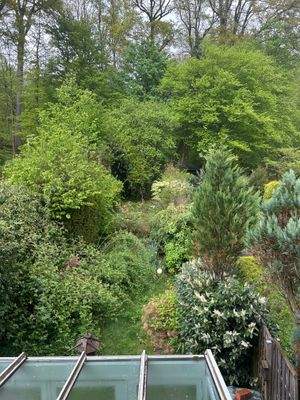 Blick Garten Wald.jpg