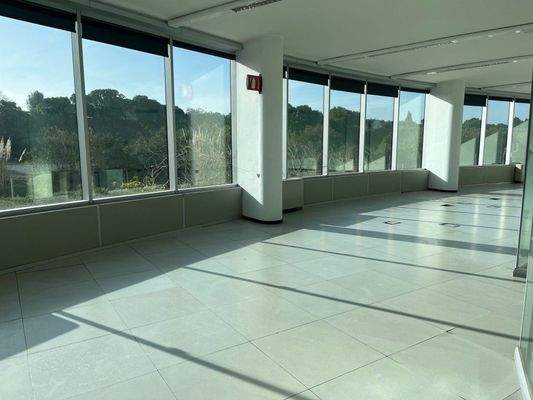 sala principal oficina - local comercial zona Aeropuerto Palma de Mallorca (1)