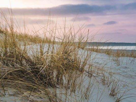 Maximales Flair am Timmendorfer Strand