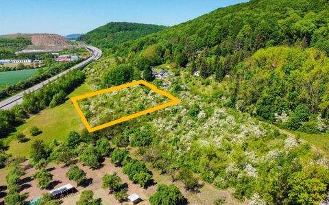 Sollstedt Grundstücke, Sollstedt Grundstück kaufen