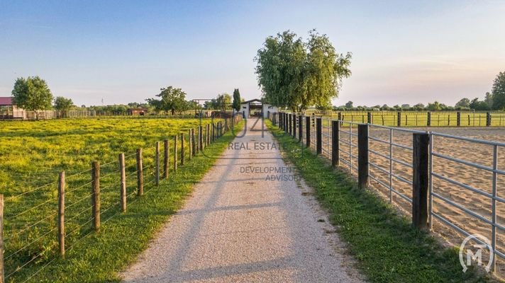 Ranch für Zucht von Sportpferden und Rinderhaltung in Aiello del Friuli