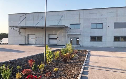 Weikersdorf am Steinfelde Halle, Weikersdorf am Steinfelde Hallenfläche