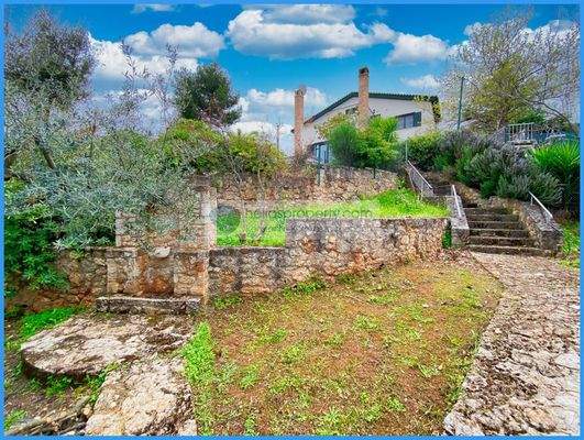 a0269653f4e8413580759007dbeca7da-original