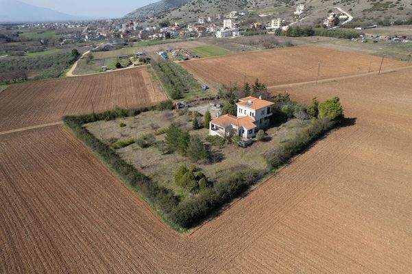 Krinides-Tsiriktsidou 23-02-2024-7.jpg