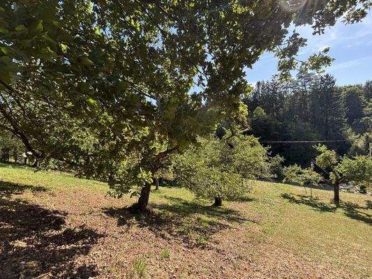 Hier entstehen Wohnträume!