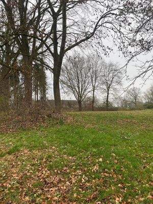 Blick auf das Grundstück 
