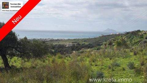 Kalamaki Bauernhöfe, Landwirtschaft, Kalamaki Forstwirtschaft