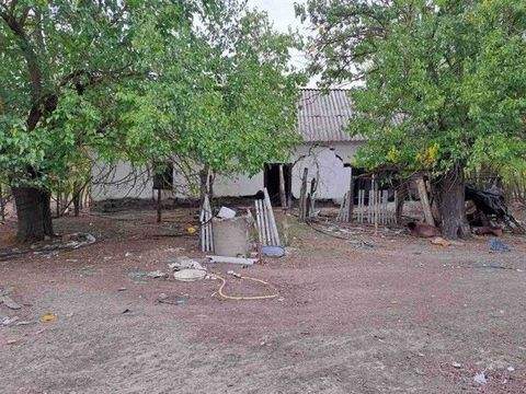 Szank Häuser, Szank Haus kaufen