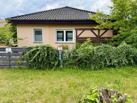 Cottbus / Sachsendorf Häuser, Cottbus / Sachsendorf Haus kaufen