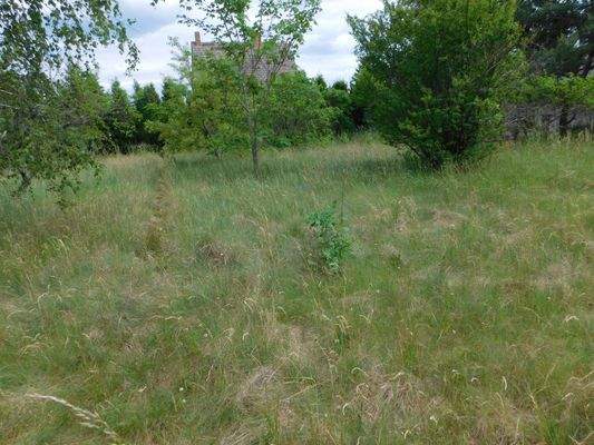 Blick ins Grundstück