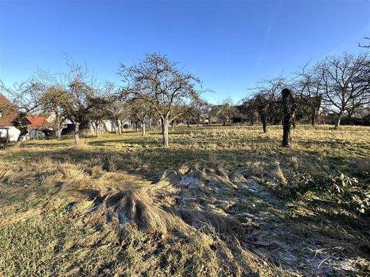 Grundstück mit 6482 m² im Ortskern