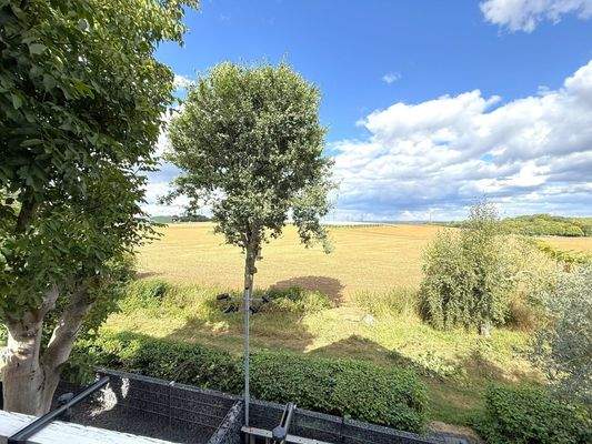 Blick über das Feld - 1