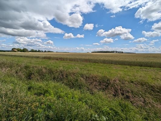 Grundstücksgrenze Blick nach Links