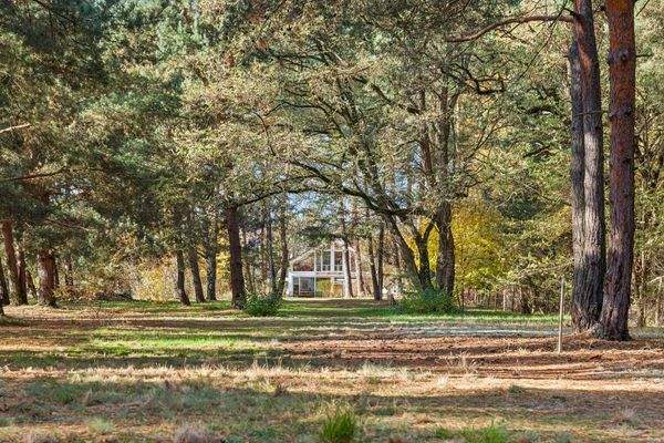 Weitblick auf ein Teil des Grundstück mit Blickrichtung zum Haus