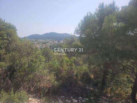 Bilice Bauernhöfe, Landwirtschaft, Bilice Forstwirtschaft