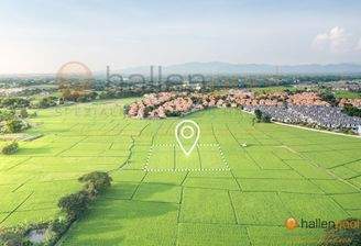 AdobeStock_583178857