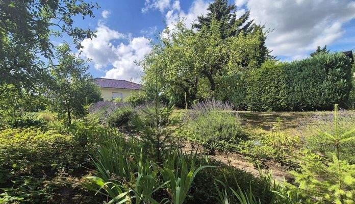 -Grundstück Richtung Nord