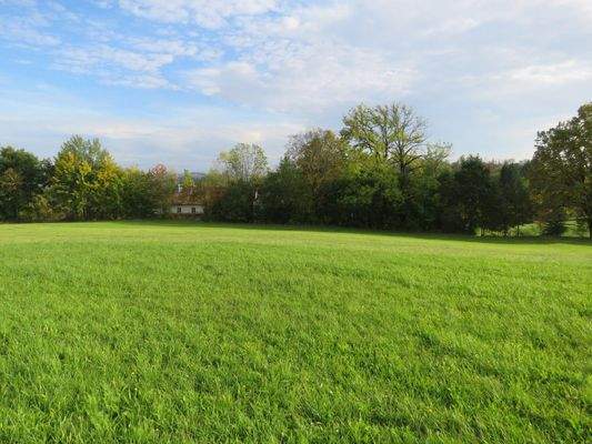Blick über die Wiese zum Haus 