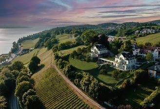 Perspektive Süd mt Bäumen.jpg