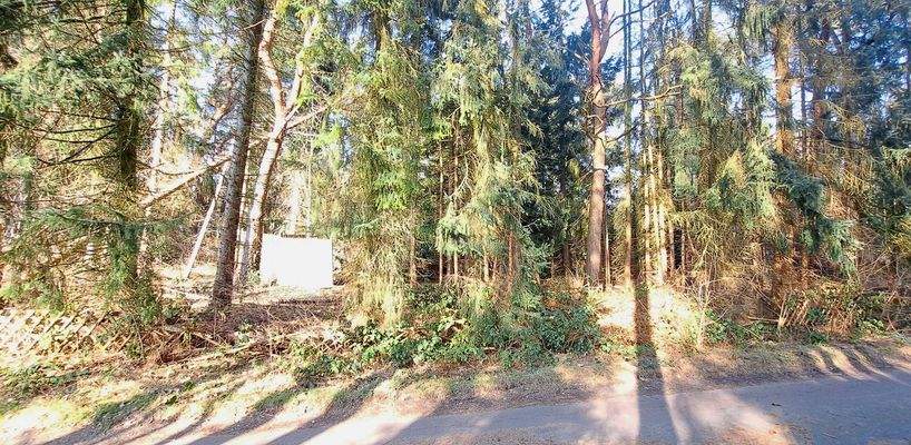 Grundstück mit Baumbestand 