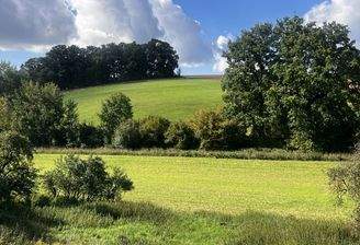 Blick nach Westen