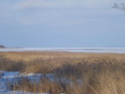 Klausdorfer Bodden im Winter