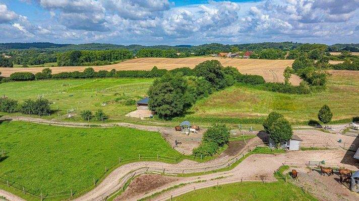 Bewegungs- Fütterungs- und Trainingskonzept
