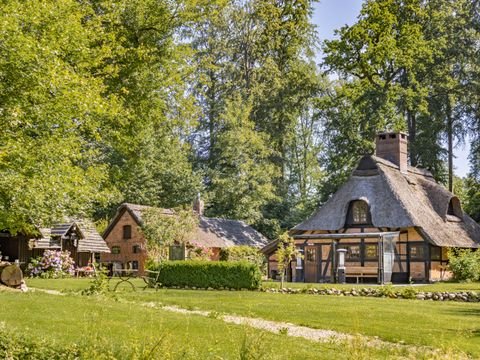 Seedorf Häuser, Seedorf Haus kaufen