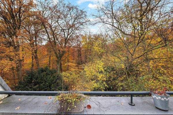 Freiblick ins Grüne